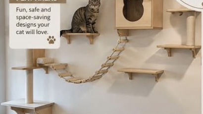 Wall-mounted wooden cat shelves, bridge and hide box