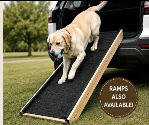 Labrador walking down a custom Comfort Paws pet ramp from a car boot