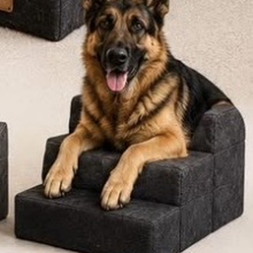 German Shepherd resting on large custom-built grey pet stairs